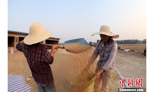  ��ũ��ע forum