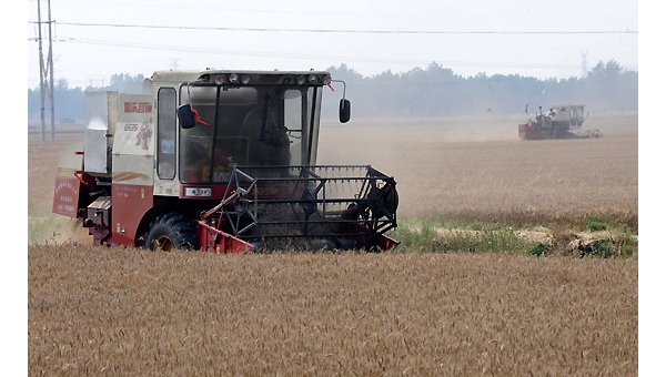  ��ũ��ע forum