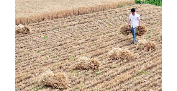  ��ũ��ע forum