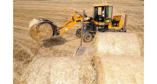  ��ũ��ע forum