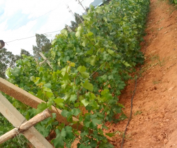  ֲ��ũ�� forum