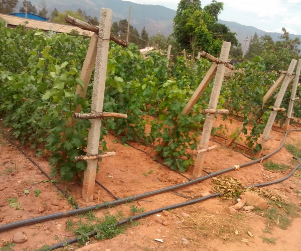  ֲ��ũ�� forum