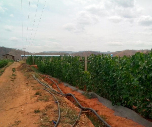  ֲ��ũ�� forum