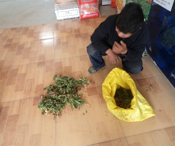  ����ݺ� forum