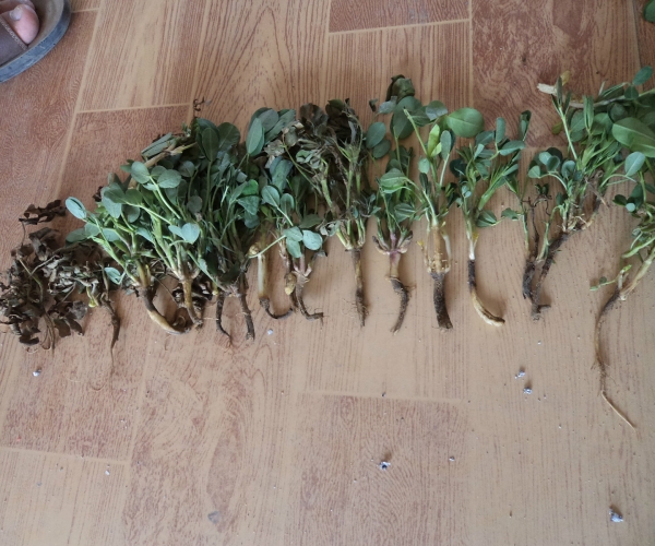  ����ݺ� forum