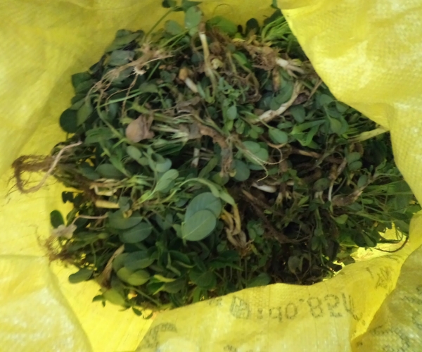  ����ݺ� forum