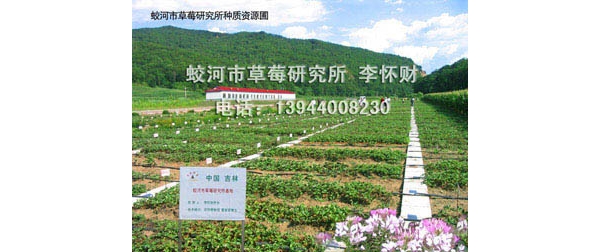  ũ����Ϣ forum