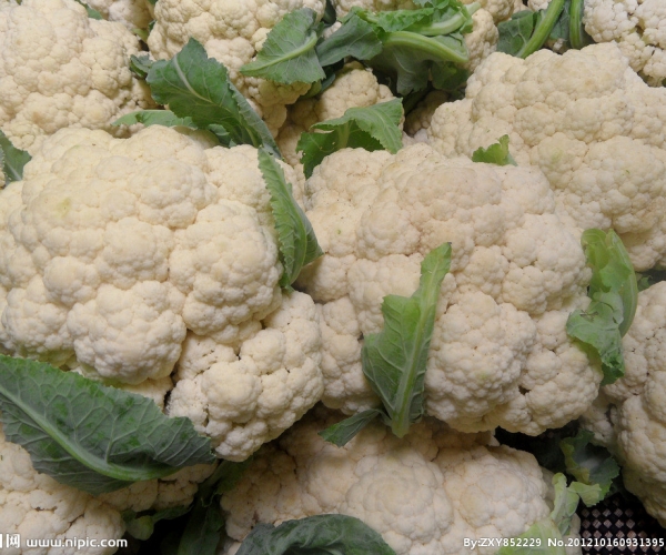  ְҵ��ũ - ����Ȫ 224549wbwzegyb6nwwcwf4