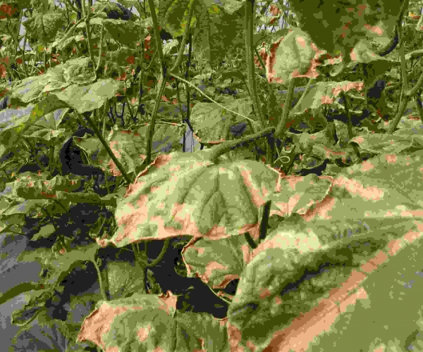  ũ����Ϣ forum