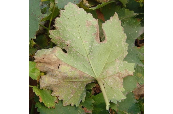  ũ����Ϣ forum