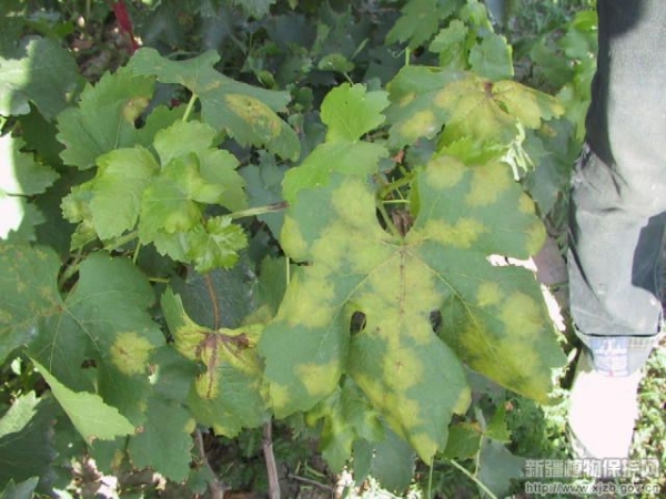  ũ����Ϣ forum