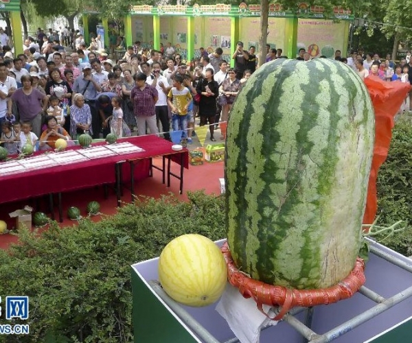  ��ũ��ע forum