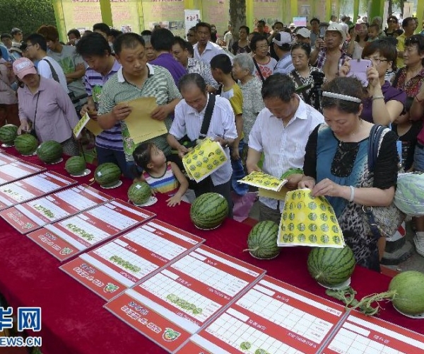  ��ũ��ע forum