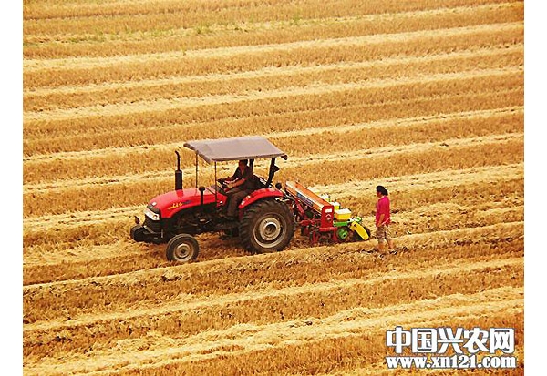  ��ũ��ע forum