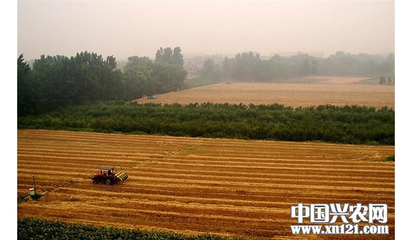  ��ũ��ע forum