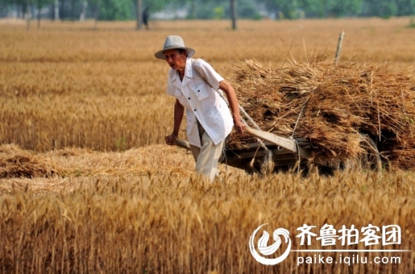  ũҵ���� forum