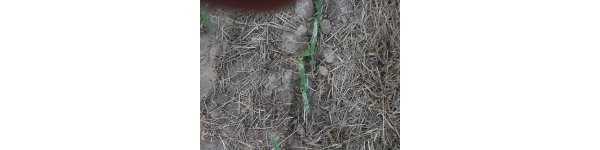  ����ݺ� forum