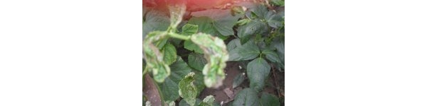  ����ݺ� 09352233ytq9k10z01vav1