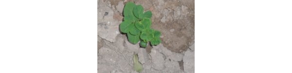  ݺ 093501uz933bquvjvq7k47