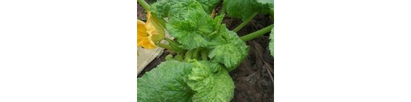  ����ݺ� 093516l58ql32t2dqh76ul