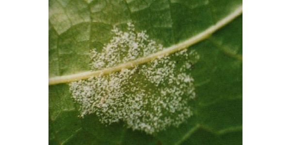  ũ����Ϣ forum