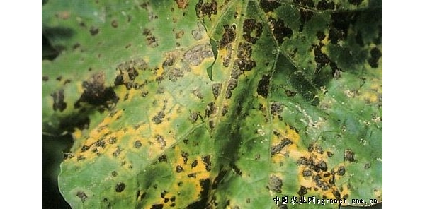  ũ����Ϣ forum