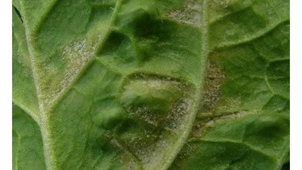  ����ݺ� forum