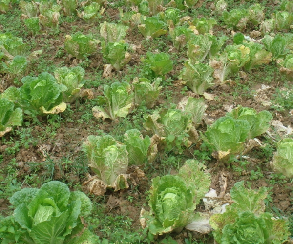  ũ����Ϣ forum