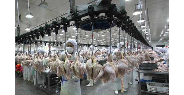  ��ũ��ע forum