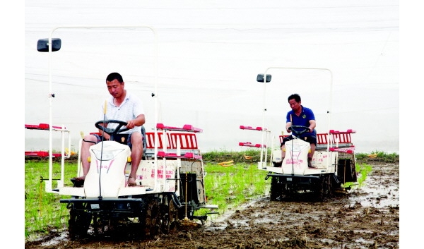  ũ��ũ�� forum