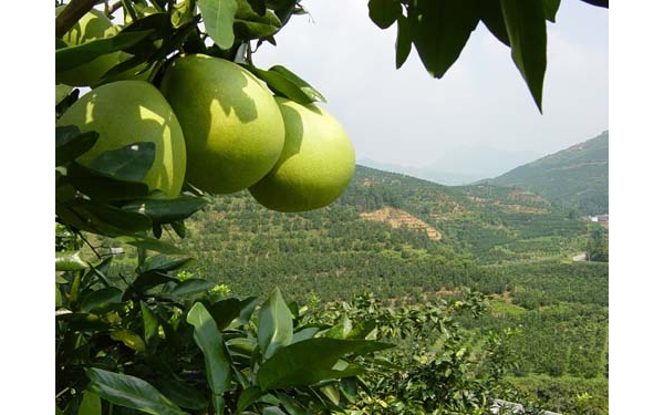  ũ����Ϣ 1022507rr1u1iuf11krfrk