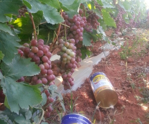  ������̳ forum