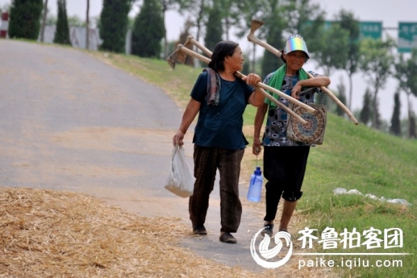  ũҵ���� forum