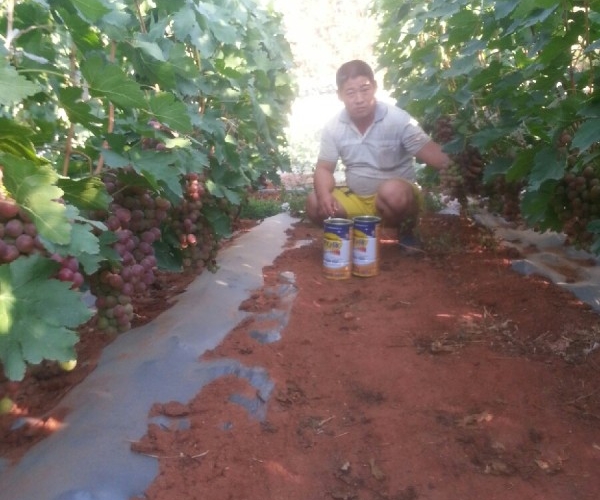  ������̳ forum