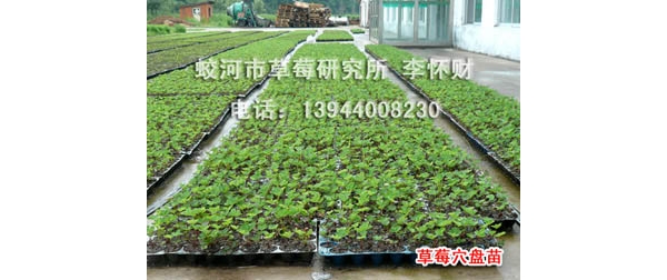  ũ����Ϣ forum