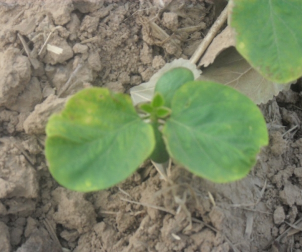  ����ݺ� forum