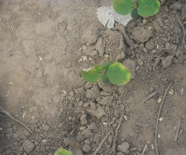  ����ݺ� forum