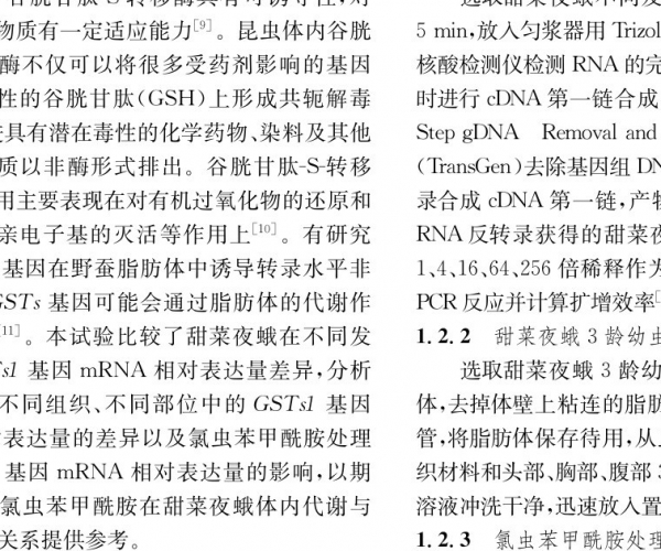  �������� forum