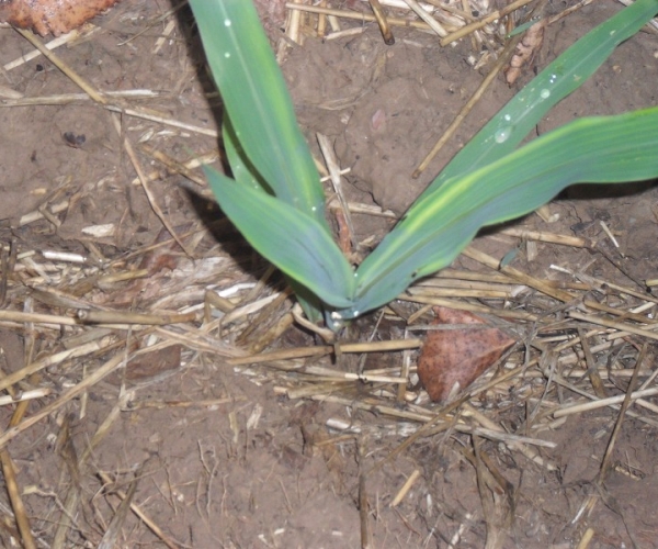  ����ݺ� forum