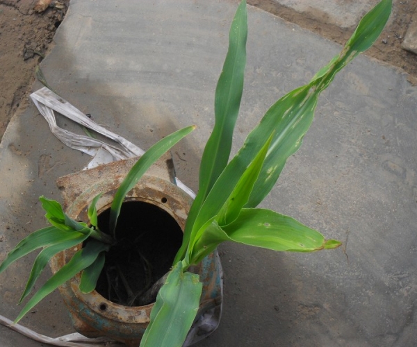  ����ݺ� forum