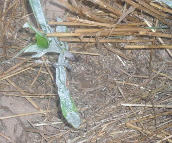  ����ݺ� forum