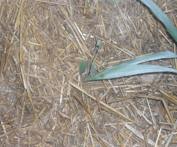  ����ݺ� forum