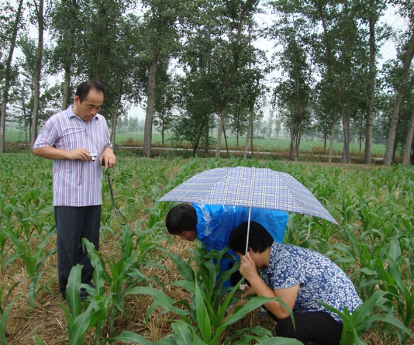  ����ݺ� forum