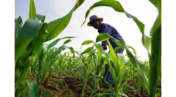  ����ݺ� forum