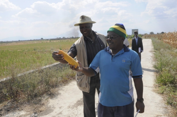  ��ũ��ע forum