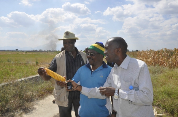  ��ũ��ע forum