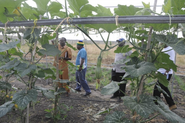  ��ũ��ע forum