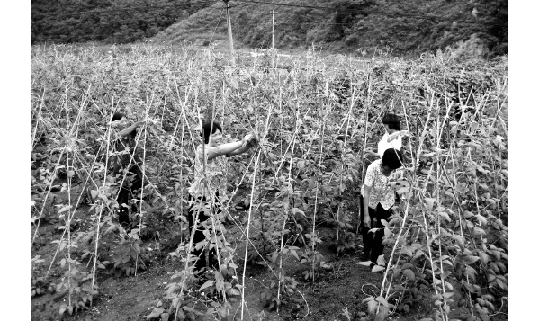  ��ũ��ע forum