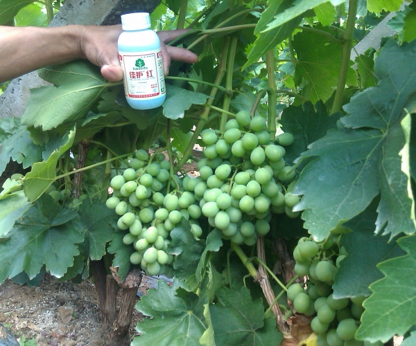  ũ����Ϣ 144204lkksgks2lktvktms