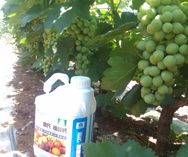  ũϢ 14471924bz4ztddheuc5sk